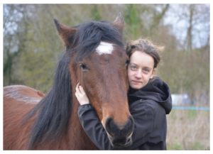 Comment affronter l’euthanasie de votre cheval ?