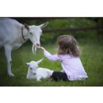 deuil d’un animal : que faire avec les enfants