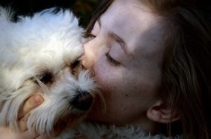 Comment affronter l’euthanasie de votre chien ?
