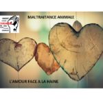 Maltraitance animal : l’Amour face à la haine