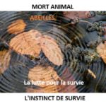 Mort de l’animal : l’instinct de survie