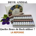 Deuil animal : quelle fleur de Bach peut vous aider