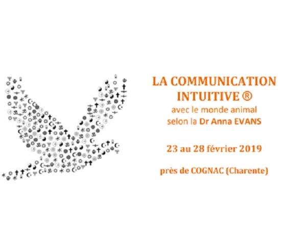 communication intuitive rencontre avec le monde animal