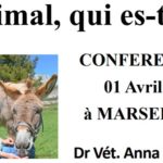 Conférence Anna Evans Marseille