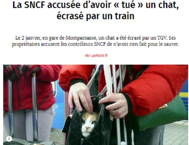 ce n'était qu'un chat